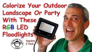 Light Up Your Landscaping With Any Color You Want - YeeSite review