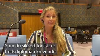 Norge er medlem Sikkerhetsrådet - Fredsdiplomati på agendaen-