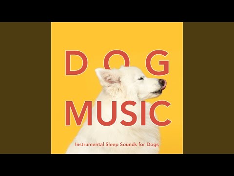 Peace and Tranquility