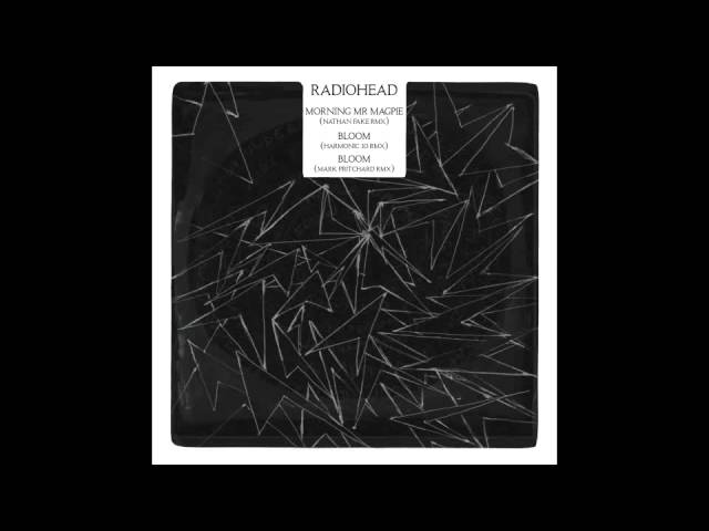 Morning Mr Magpie (Nathan Fake Rmx)