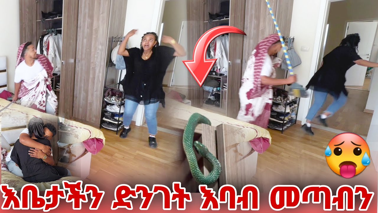 ቪዲዮ ስንሰራ ድንገት እባብ መጣብን