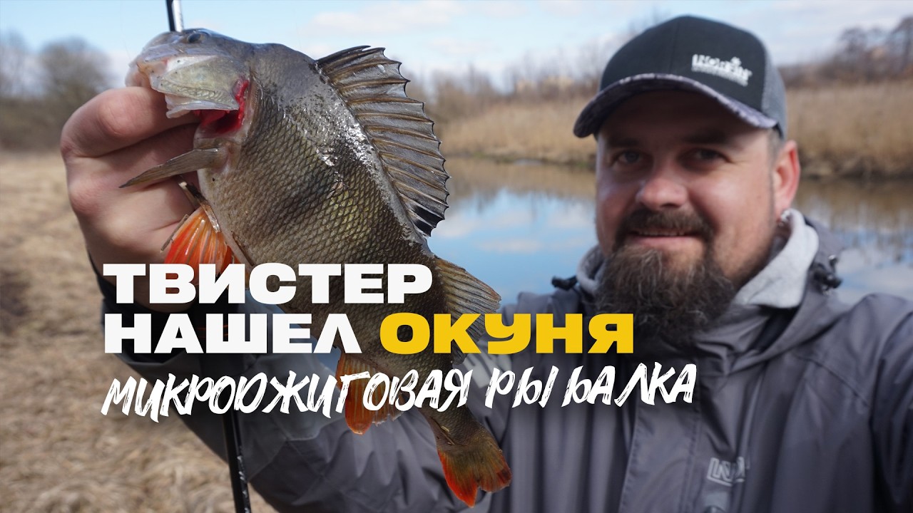 Этот Твистер Нашел Окуня Lucky John Viper 2 Рыбалка Весной на Микроджиг