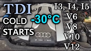 TDI COLD STARTS! 3, 4, 5cyl, V6, V8, V10 and V12! -30*C. Odpalanie TDI na mrozie. VW, Audi. S4E28