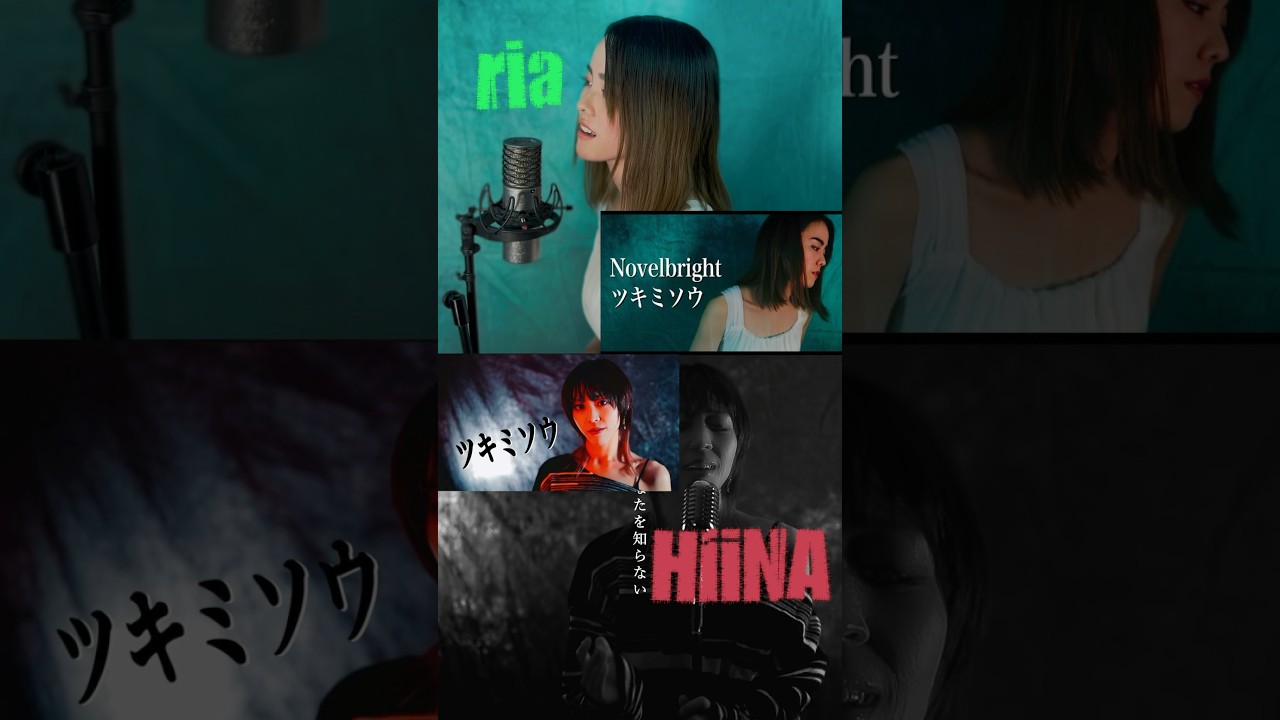 Novelbright ／ ツキミソウ　ria × HiiNA cover #shorts  #歌ってみた #月見草