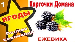 Карточки Домана Ягоды часть 1