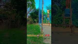 cricket net 🥅 setup ❣️#cricket#style