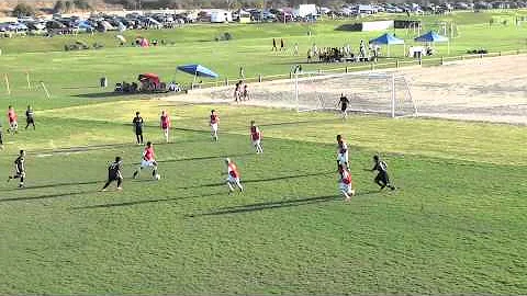 #8 RYAN RENKEN