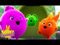 HAPPY WEEKEND! | Sunny Bunnies | Cartoons for Kids | WildBrain Zoo