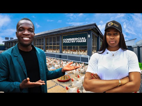 How A Nigerian Lady Turned Just 50 Chickens into a Thriving Poultry Farm