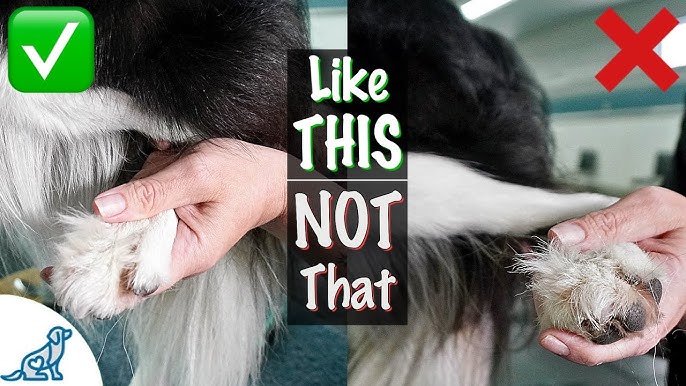 Common mistakes to avoid