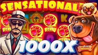 :  1000   The Dog House Megaways /   /  !!!
