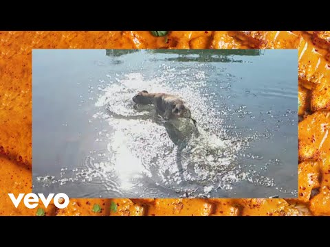 Flavien Berger — Flavien Berger - Pamplemousse (Clip officiel)
