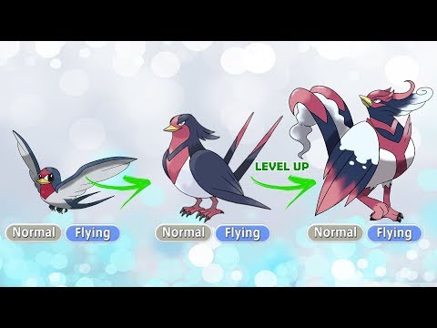 Future Pokemon Evolutions 3