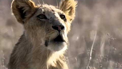 1º Ranking Listed Best Trance: ATB - Future Memories (Combination of perfect music and video)