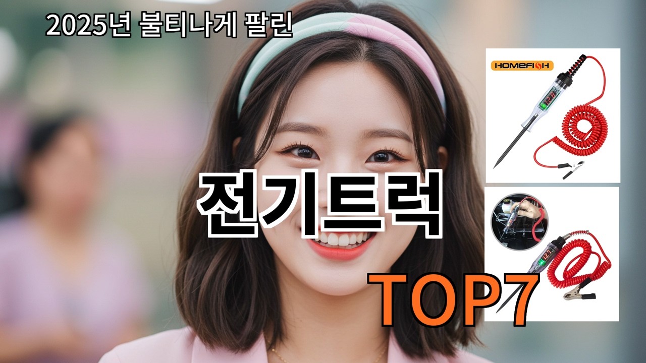 알리 전기트럭 후기 많은 이유 바로 알겠음