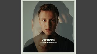 Video thumbnail of "JORIS - Steine"