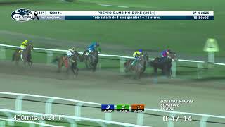 Vidéo de la course PMU PREMIO BAMBINO DUKE 2024