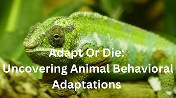 Adapt Or Die: Uncovering Animal Behavioral Adaptations