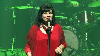Wiośnie nie - Basia Stępniak-Wilk
