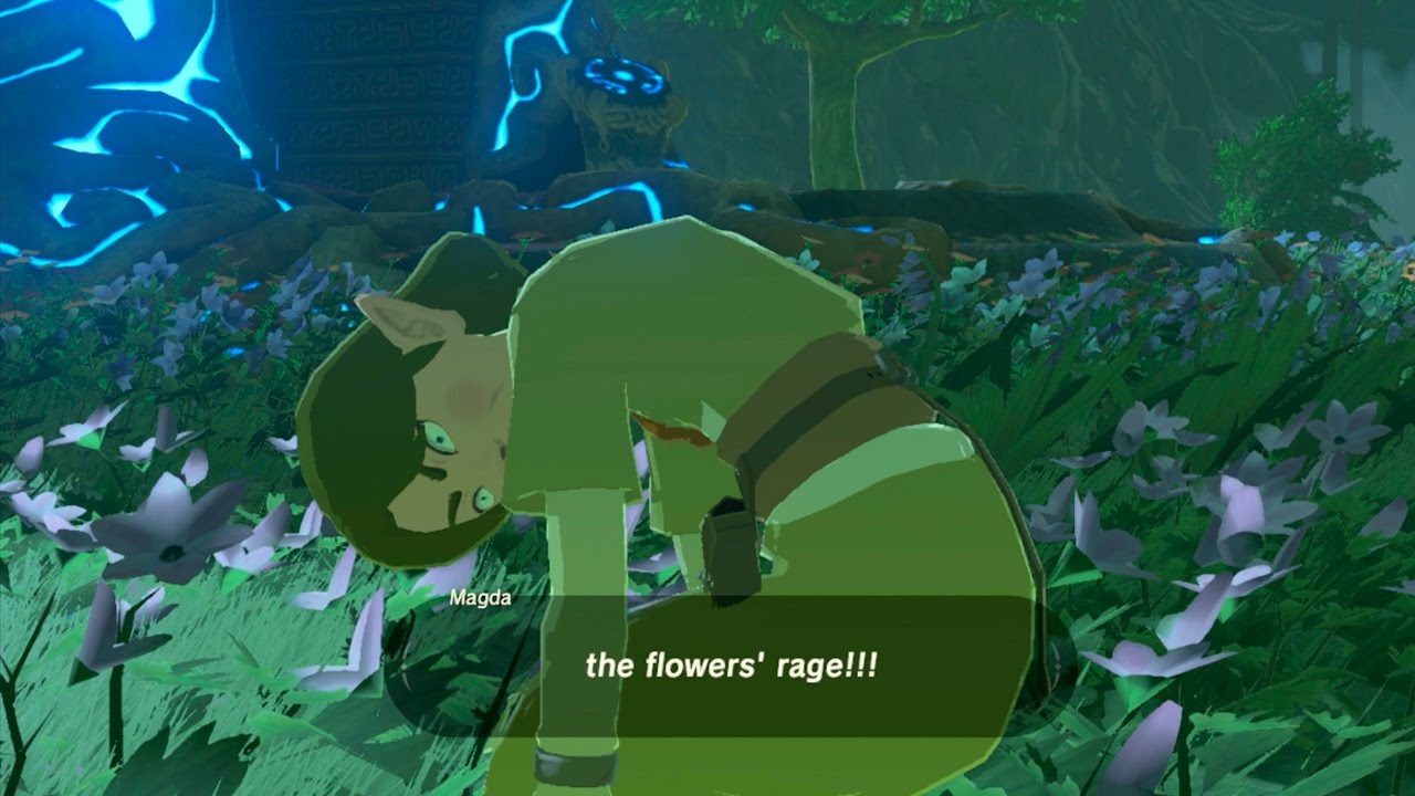Crazy flower lady in Breath of the Wild.