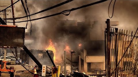 Пожары в Калифорнии: начало восстановления