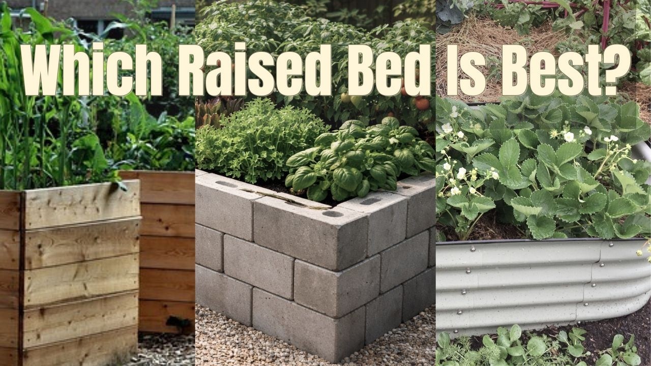 Какая приподнятая грядка лучше? Деревянная, бетонная или металлическая?