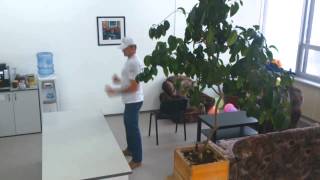Aurus Harlem Shake