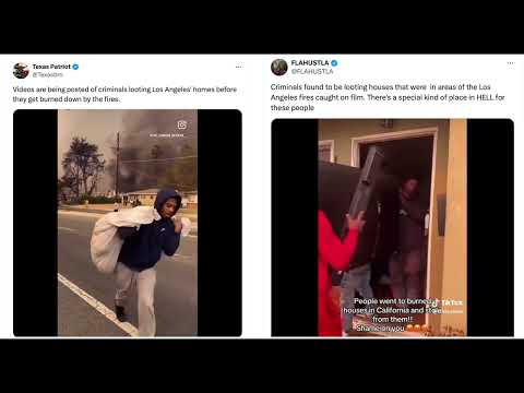 Bigots Falsely Accuse Black People of Looting Durning The LA Fires