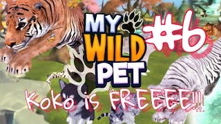 My Wild Pet: Online Animal - #6 HD Android Gameplay - Child games - Full HD Video (1080p) screenshot 4