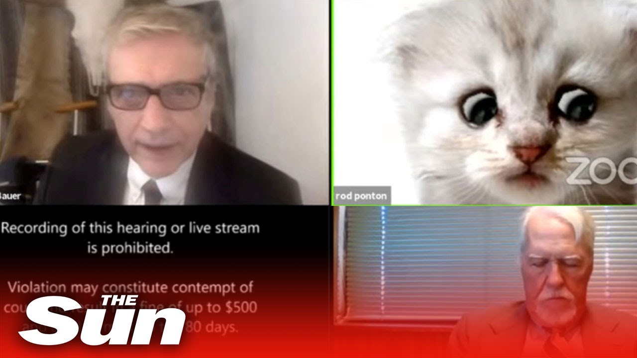 Lawyer Can T Turn Off Kitten Filter In Zoom Hearing I M Not A Cat Youtube