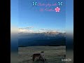 Zahvalnost danu- Minutica za tebe #ljubavpremasebi #meditacije #afirmacije #zahvalnost 💫🦋