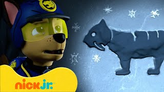 Jungle Pups Rescue Giant Animals! 🐯 W/ Marshall & Tracker | Paw Patrol | Nick Jr. Uk