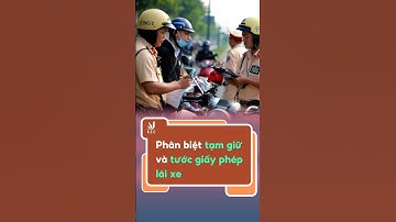 Phân biệt tạm giữ và tước giấy phép lái xe #congtyluatacc #tintuc #phapluat #trending