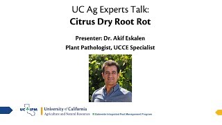 UC Ag Experts Talk: Citrus Dry Root Rot