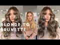 Blonde to Natural Brunette | Highlight/ Lowlight Balayage