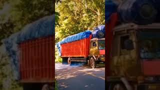 truk Sulawesi #pemburudollar #truksulawesi #shortviral
