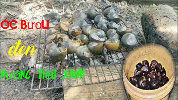 Bắt óc bươu đen nướng tiêu xanh | Món ngon miền tây