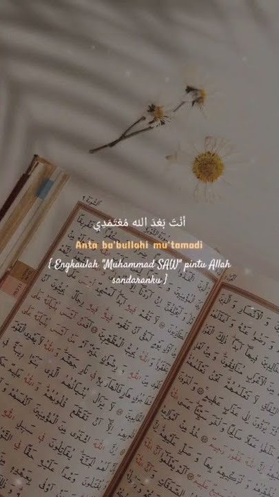 Story Wa 30 Detik || LIRIK YA IMAMARRUSLI YAA SANADI || Arab Latin & Artinya