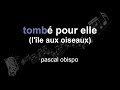 pascal obispo | tombé pour elle (l'île aux oiseaux) | lyrics | paroles | letra |