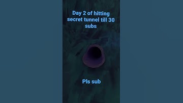 Day 2 of hitting secret tunnel till 30 subs(first try I hit it) #gorillatag