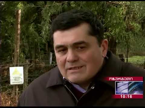 რადიოაქტიურად დაბინძურებული ნიადაგის რადიომეტრული კვლევა