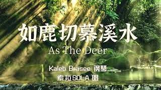 「赞美诗」——《如鹿切慕溪水》（As The Deer -- Chinese Version）