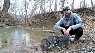Best Minnow Trap Bait - Dog Food Vs Bread Which Catches More?