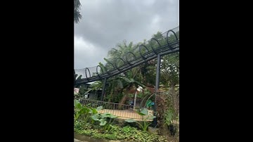 Tiger in Sky @ Sanctoo Zoo Bali