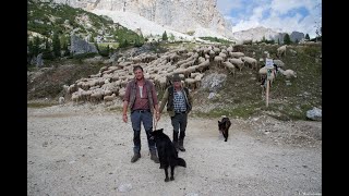 2022 Pastore Matteo Froner Al Passo Falzarego M. 2.105