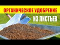 Органическое Удобрение Из Листьев. Органическое земледелие