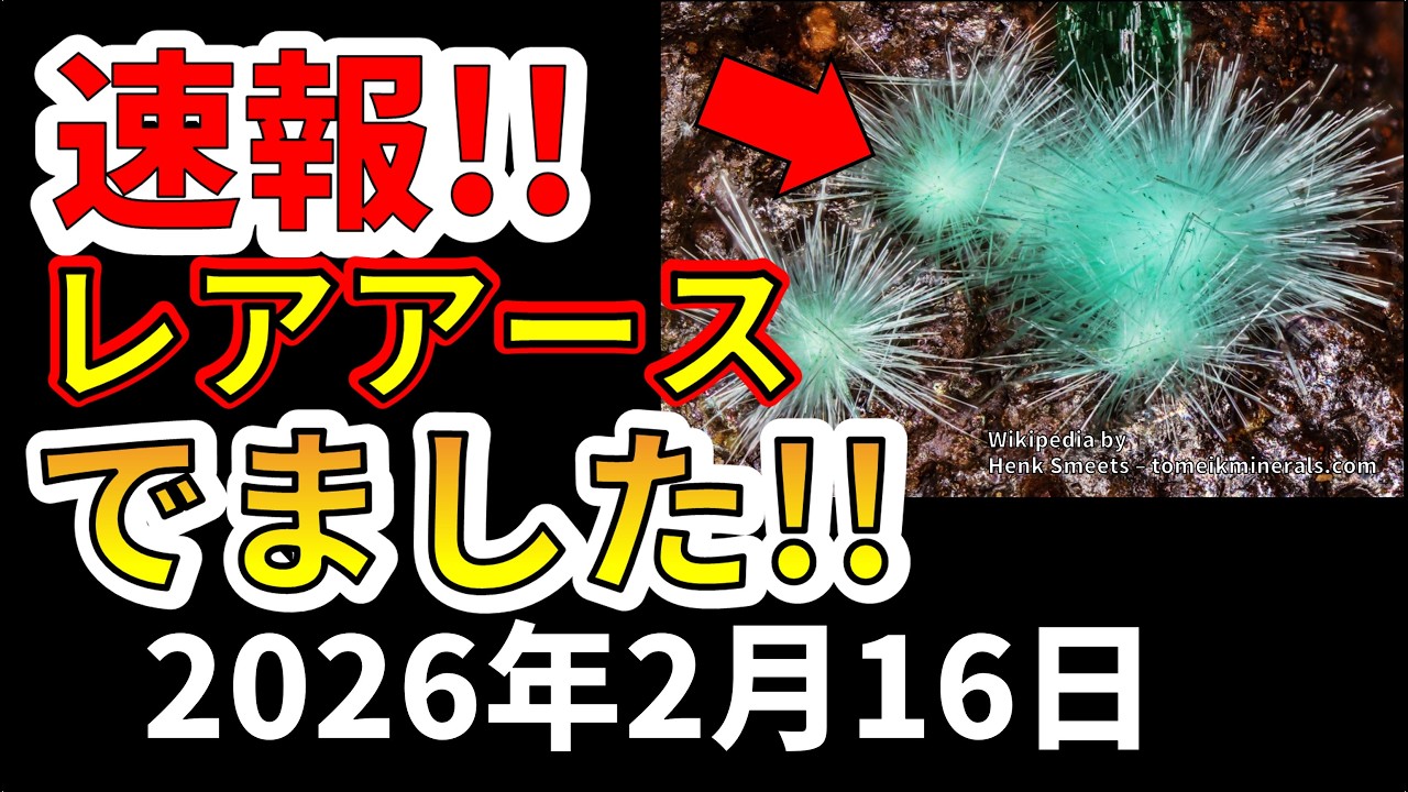 【速報！】なんと栃木県でレアアース鉱物が新たに出ました！わかりやすく解説します！