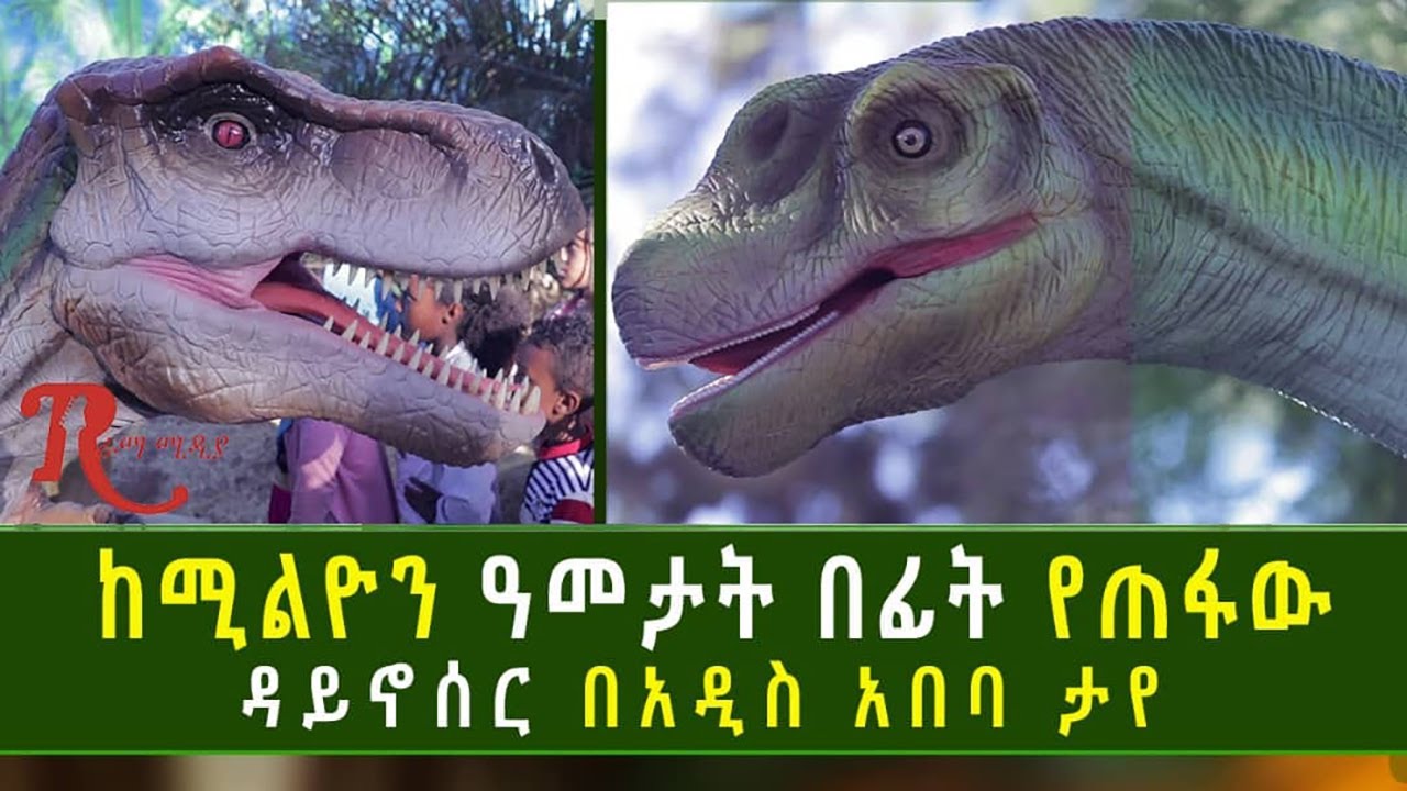 Ethiopia-ከሚሊዮን አመታት በፊት የጠፋው ዳይኖሰር በአዲስ አበባ ታየ