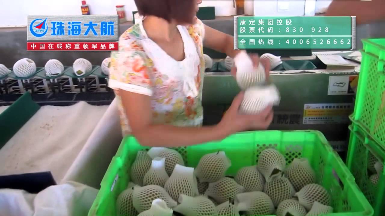 fruit sorting with manual feeding from dahang automation