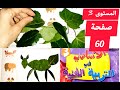 الأساسي في التربية الفنية صفحة 60 المستوى الثالث ابتدائي 